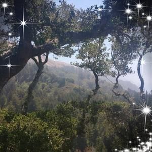 Meet your Posher, Teri